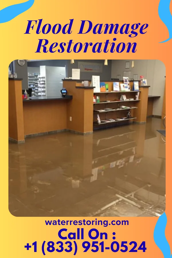 Flood Damage Restoration in Hanston, KS